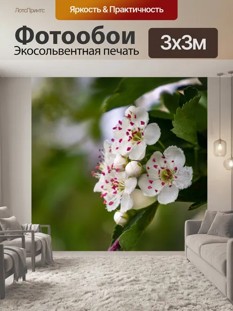 Фотообои Цветы