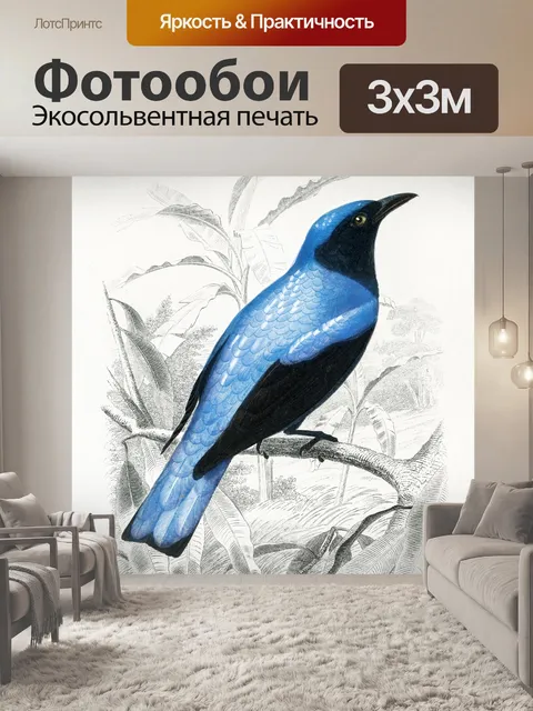 Фотообои Колибри птица старинное искусство