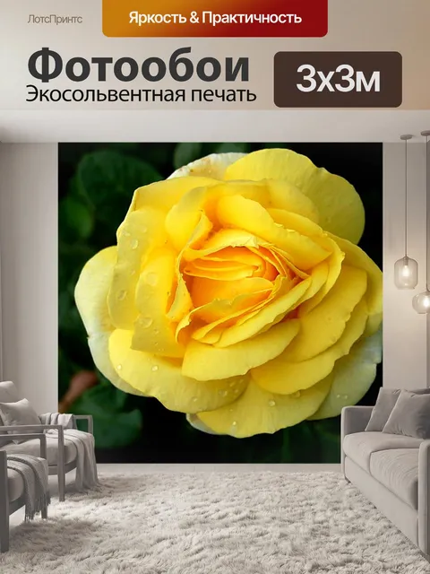 Фотообои Розы