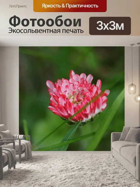 Фотообои Цветы