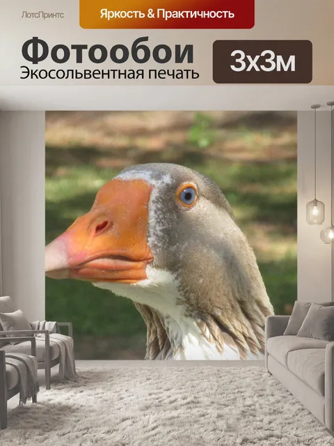 Фотообои Гуси