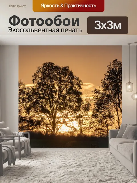 Фотообои Деревья