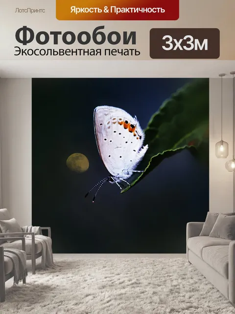 Фотообои Бабочка