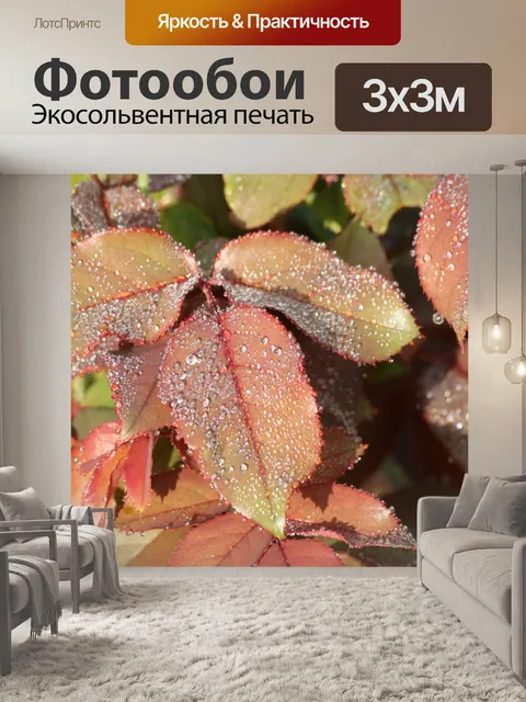 Фотообои Розовые листья и роса