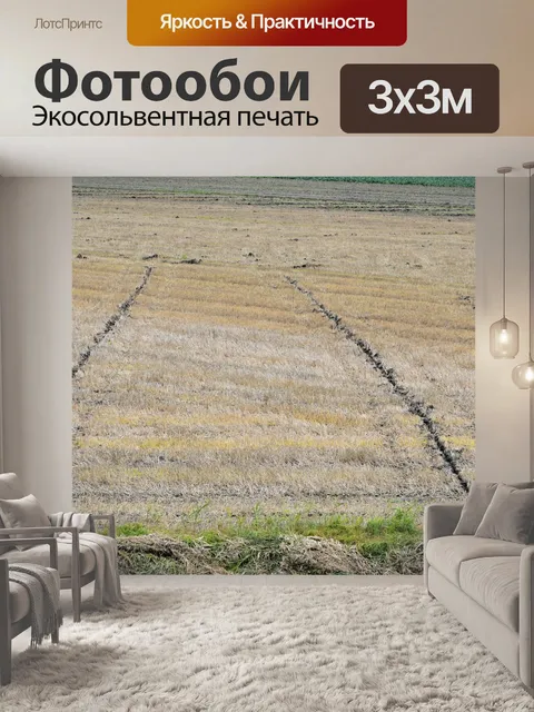 Фотообои Голландский пейзаж