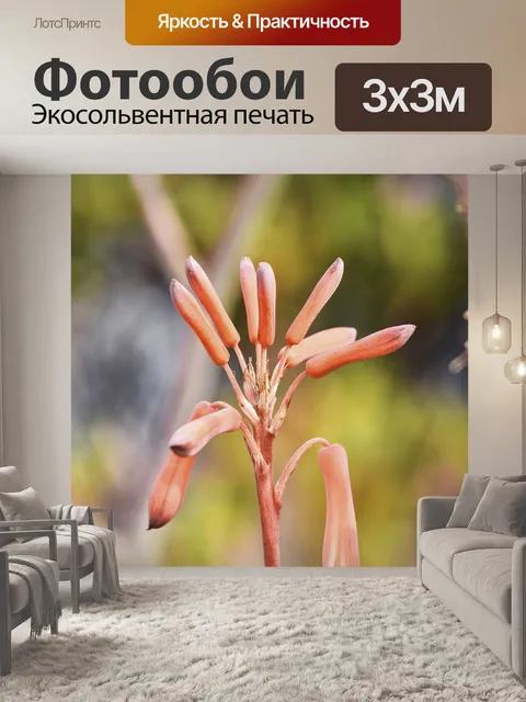 Фотообои Цветы