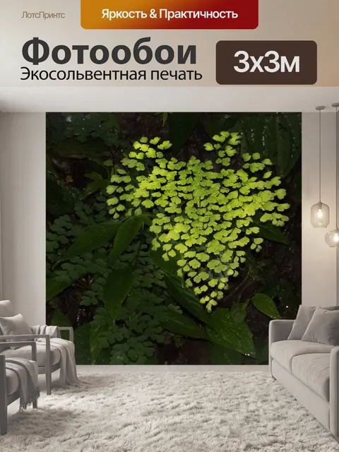 Фотообои Лес