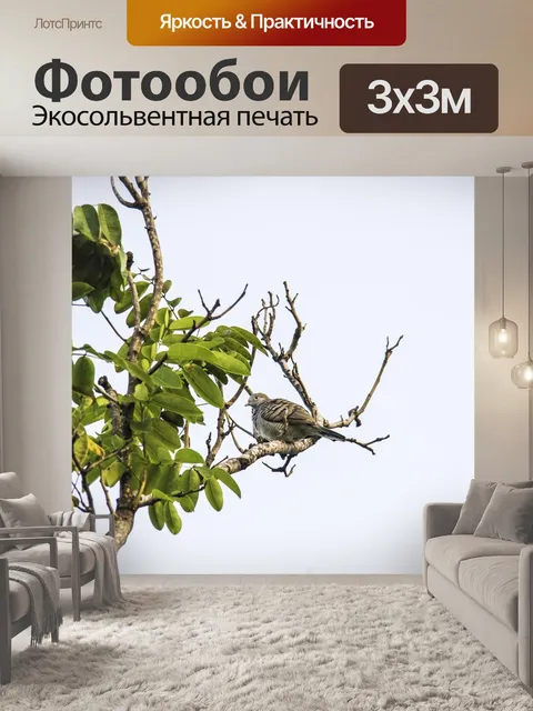 Фотообои Птица