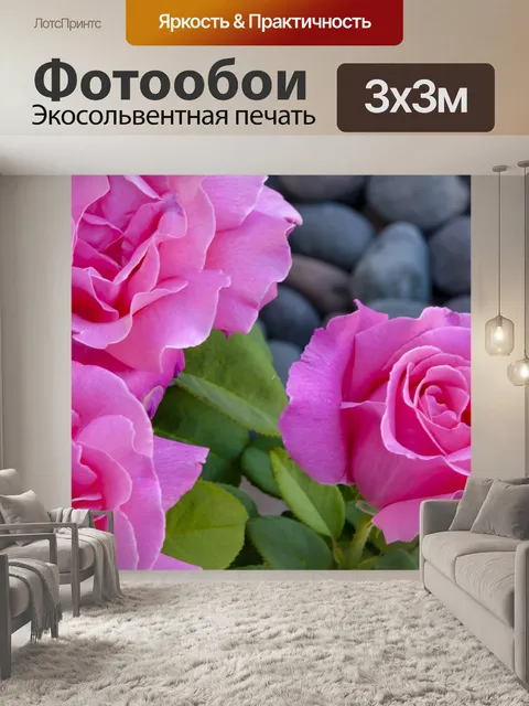 Фотообои Розовые розы