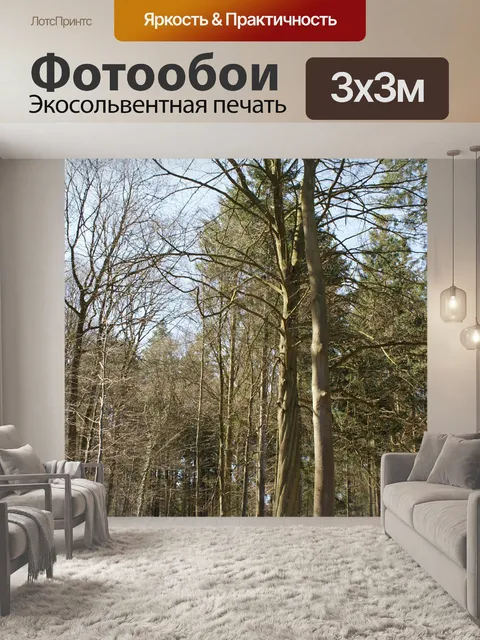 Фотообои Деревья