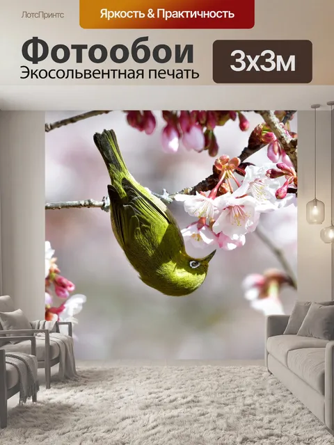 Фотообои Цветы