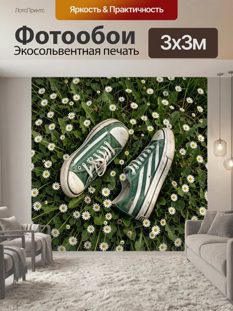Фотообои Зелёные кеды среди ромашек