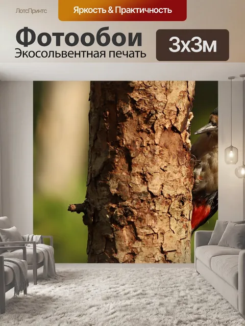 Фотообои Дятел