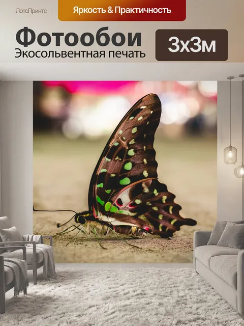 Фотообои Бабочка