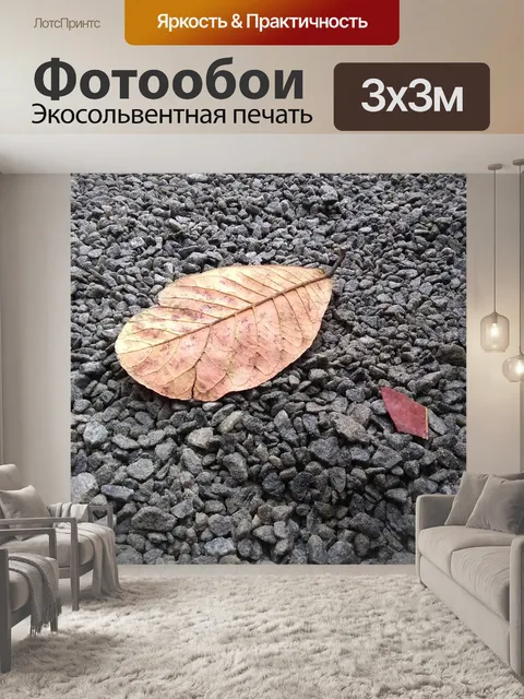 Фотообои Падение