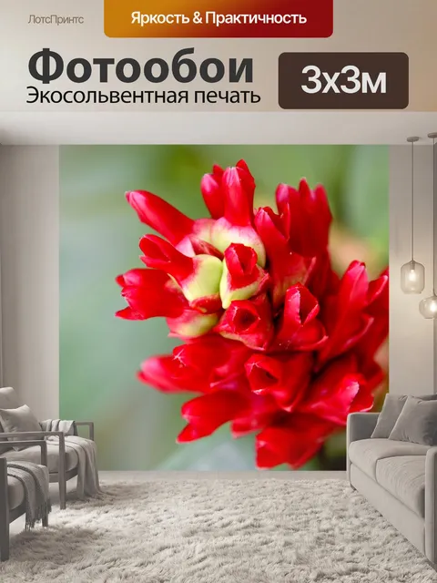 Фотообои Цветок