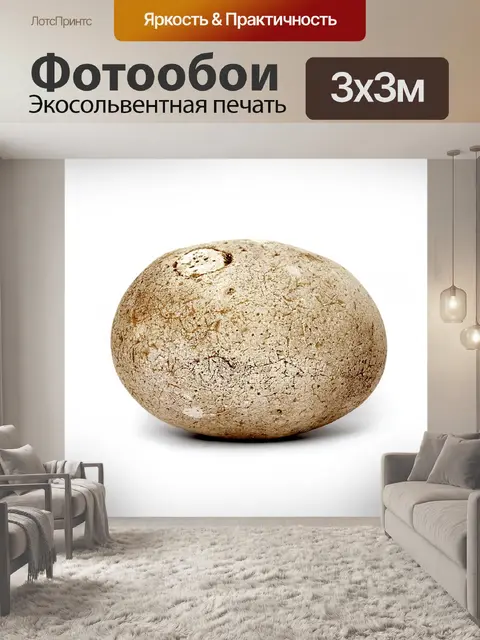 Фотообои Камешек