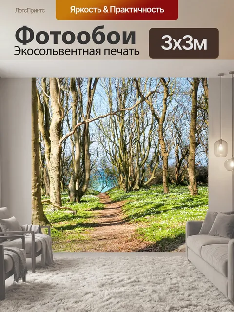 Фотообои Лес