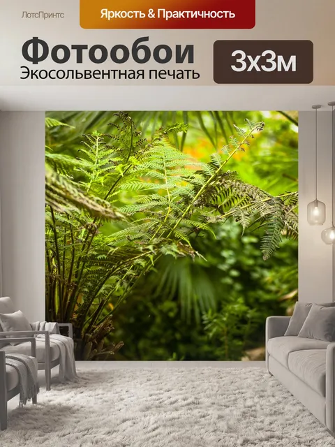 Фотообои Папоротник