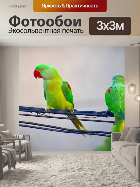 Фотообои Попугаев