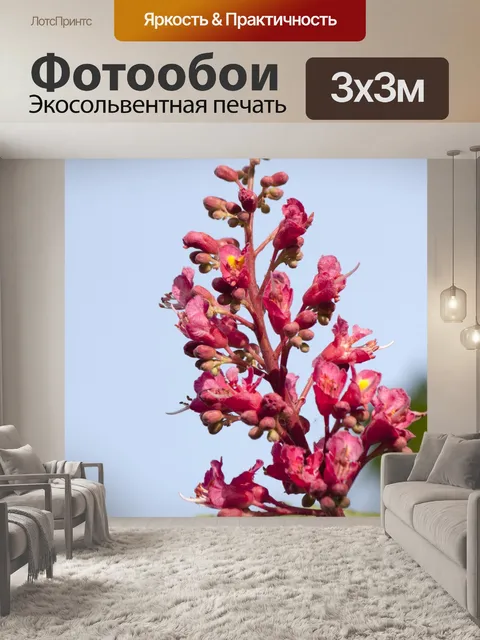 Фотообои Розовые цветы Blossom
