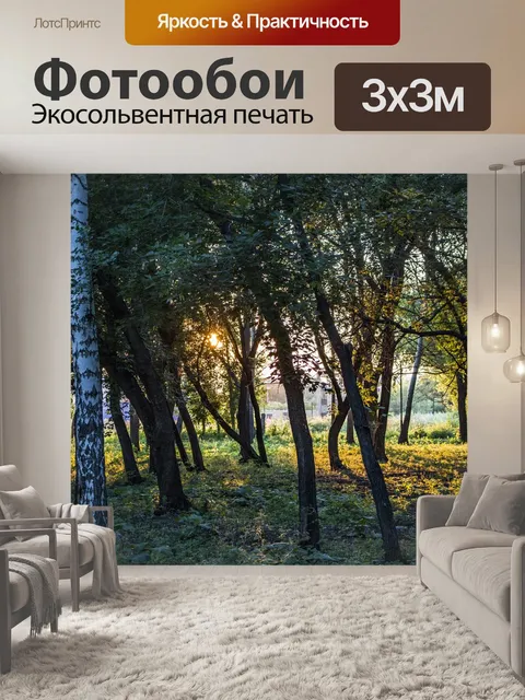 Фотообои Лес