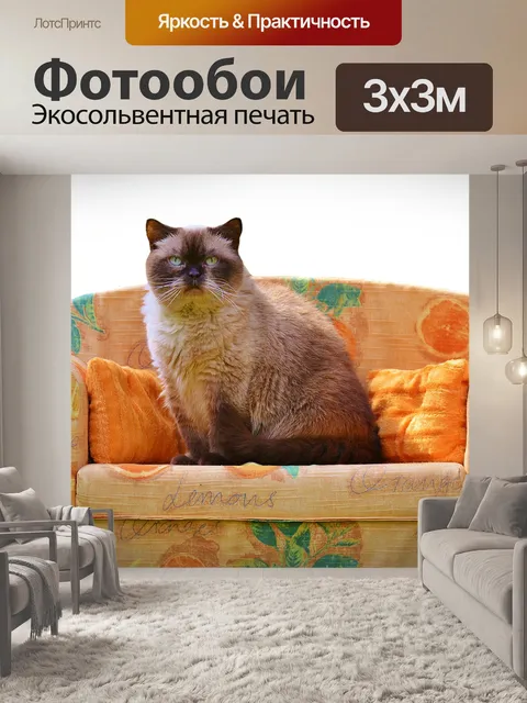 Фотообои Диван