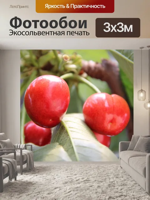 Фотообои Фрукты