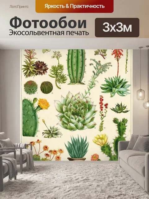 Фотообои Сочные кактус винтажное искусство