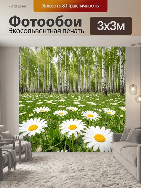 Фотообои Березовая роща с ромашками
