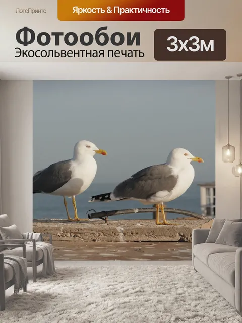 Фотообои Чайки