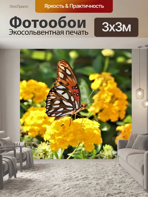Фотообои Перламутровый залив Бабочка на Лантане