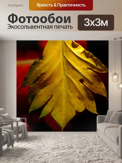 Фотообои Большие листья