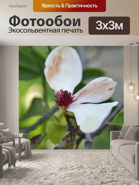 Фотообои Цветы