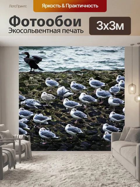 Фотообои Птицы