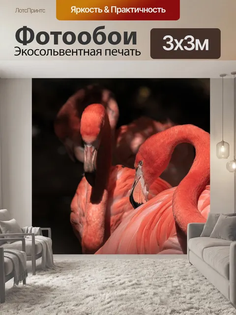 Фотообои Фламинго