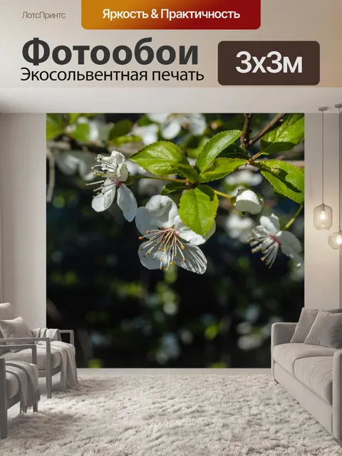 Фотообои Цветы