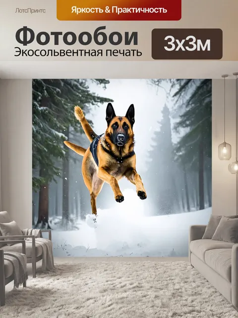 Фотообои падение малинуа с высоты в заснеженном лесу, где собака азартно бросается к земле, поднимая облака снега