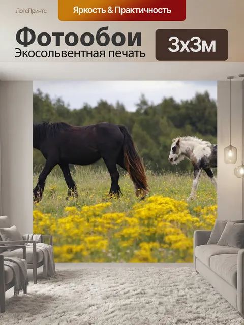 Фотообои Лошади
