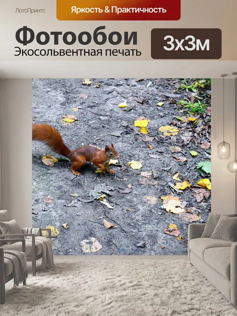 Фотообои Белка