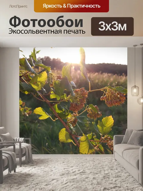 Фотообои Листья