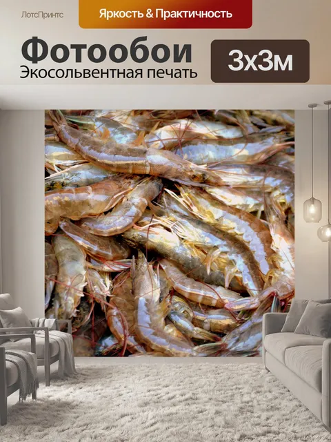 Фотообои Креветка