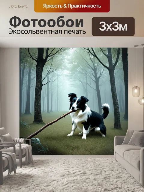 Фотообои в туманном лесу в раннее утро бордер-колли играет с палкой
