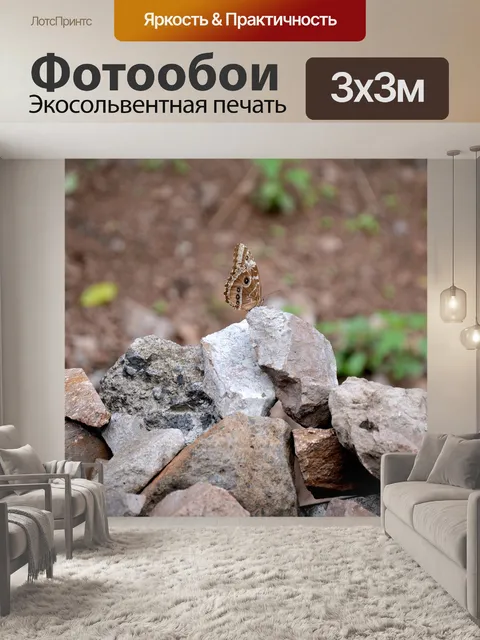 Фотообои Бабочка