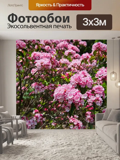 Фотообои Цветы
