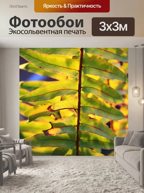 Фотообои грубая листья папоротника