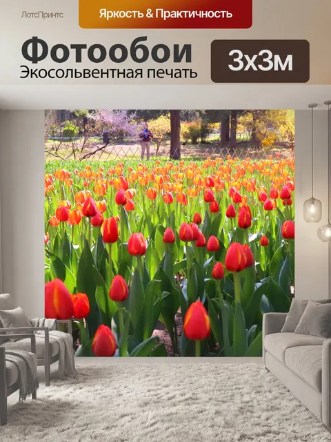 Фотообои Парк цзиншань
