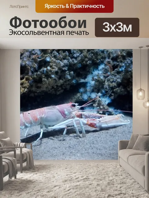 Фотообои омар под водой