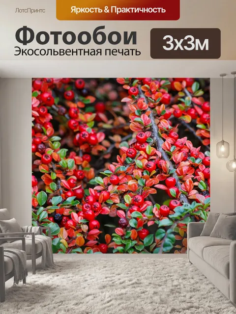 Фотообои Ботанический сад в Быдгоще