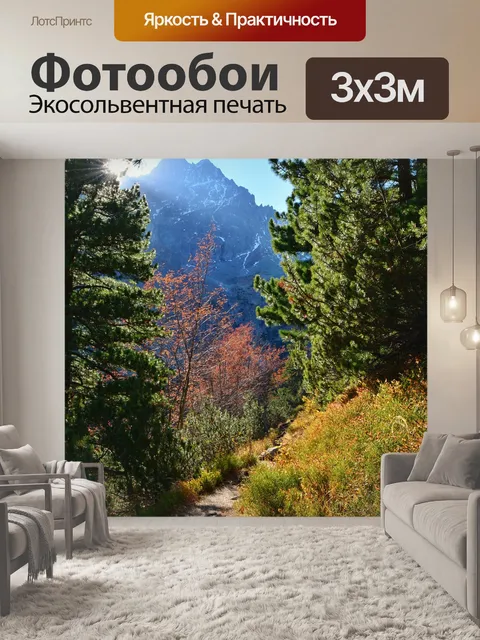 Фотообои Дорога